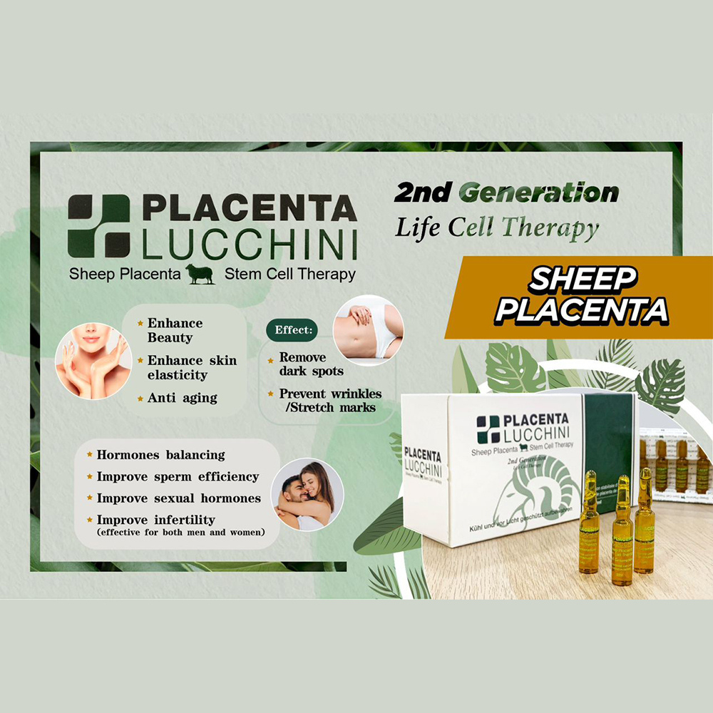 Lucchini Sheep Placenta Stem Cell Therapy 2nd Generation